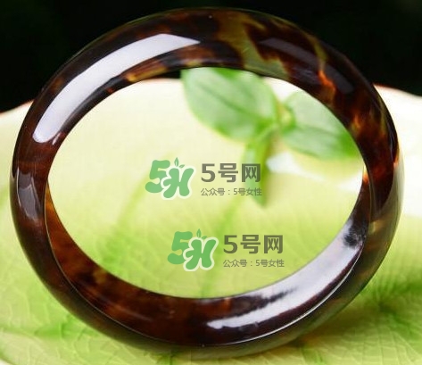 玳瑁是什么？玳瑁是國(guó)家保護(hù)動(dòng)物嗎？
