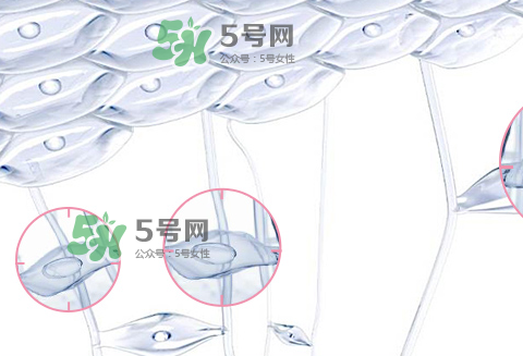 嬌韻詩(shī)青春賦活兩件套裝多少錢？嬌韻詩(shī)全新青春賦活系列怎么樣？