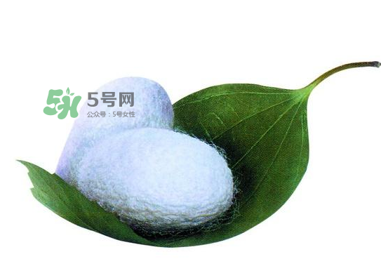 蠶繭多少錢一斤2017？2017年蠶繭價格是多少？