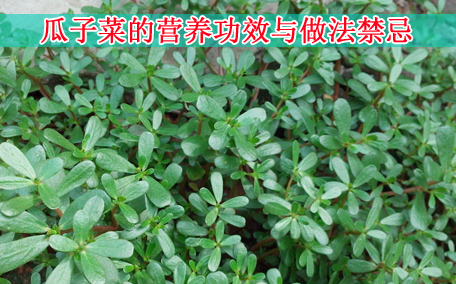 梅干菜會致癌嗎？致癌屬誤傳