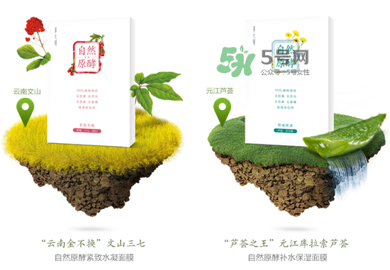 采之汲自然原酵面膜怎么用？采之汲自然原酵面膜使用心得