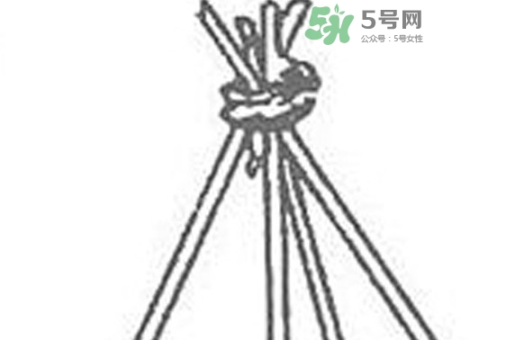 缸豆什么時(shí)候搭架？缸豆要怎樣搭架子