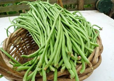 缸豆可以包餃子嗎？缸豆能放冰箱嗎