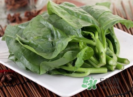 木耳菜和什么食物相克？木耳菜不能和什么一起吃
