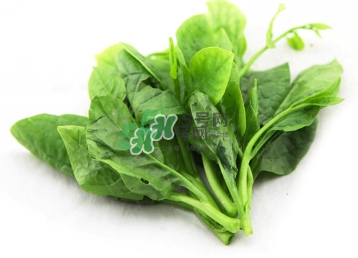 木耳菜怎么清洗？木耳菜怎么擇？