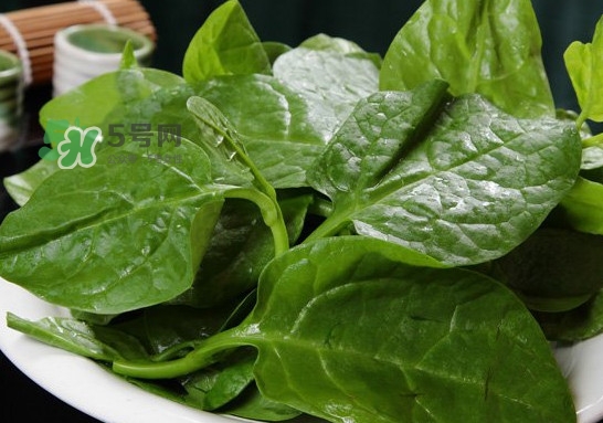 木耳菜可以生吃嗎？木耳菜可以涼拌嗎