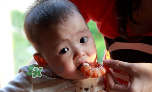 寶寶吃蝦不能和什么一起吃？寶寶吃蝦的注意事項(xiàng)