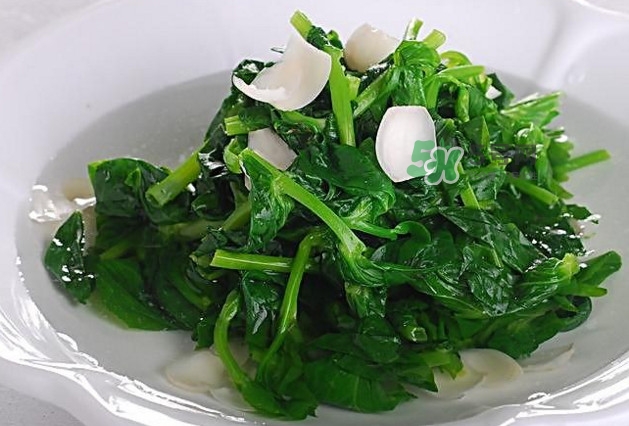 木耳菜是什么菜？木耳菜對(duì)人有哪些好處？