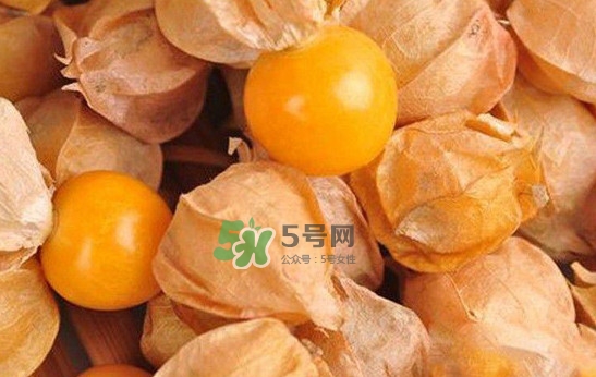 姑娘果怎么挑選？姑娘果產(chǎn)地在什么地方
