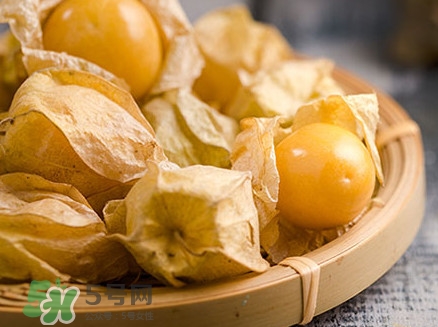 姑娘果可以直接吃嗎？姑娘果多吃有什么害處