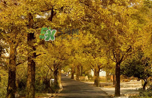 9月份去浙江穿什么？九月份去浙江穿什么衣服