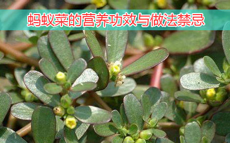 梅干菜怎么挑？聞味道看顏色