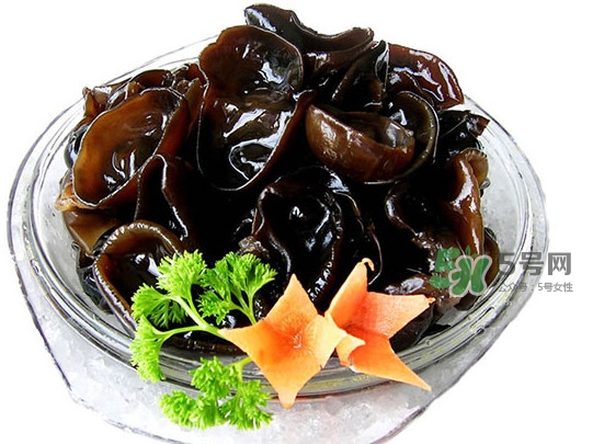 木耳菜是什么季節(jié)的菜？木耳和木耳菜有區(qū)別嗎