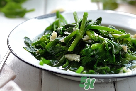 木耳菜可以生吃嗎？木耳菜可以涼拌嗎