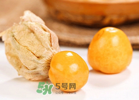 菇娘不能和什么一起吃？紅菇娘泡水喝有什么好處
