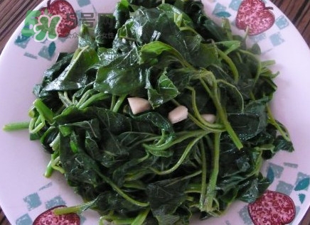 野莧菜有毒嗎？野莧菜怎么吃