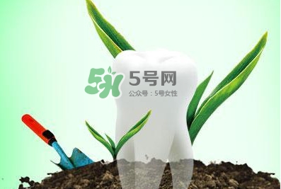 種植牙多少錢一顆？為什么種植牙很貴