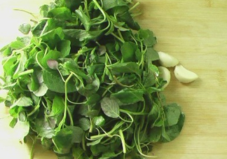 野莧菜怎么做好吃？野莧菜怎么保存