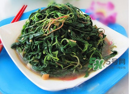 野莧菜怎么做好吃？野莧菜怎么保存