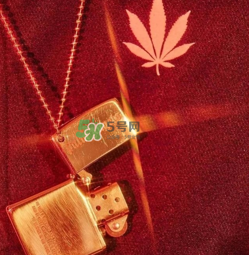 palm angels是什么牌子_哪個(gè)國家的_什么檔次？