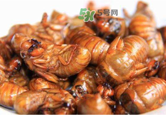 立秋后的知了還能吃嗎？立秋還有知了猴嗎？
