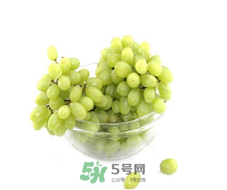 馬奶葡萄是提子嗎？馬奶葡萄怎么洗？