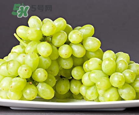馬奶葡萄是只有新疆有嗎？綠馬奶葡萄為什么發(fā)澀