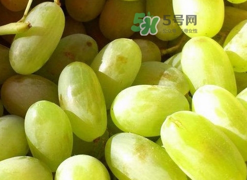 馬奶葡萄是提子嗎？馬奶葡萄怎么洗？