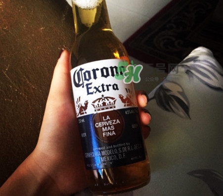 科羅娜啤酒多少度？科羅娜啤酒怎么樣