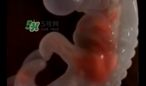 懷孕初期怎么保胎？陰道出血是流產(chǎn)征兆嗎？