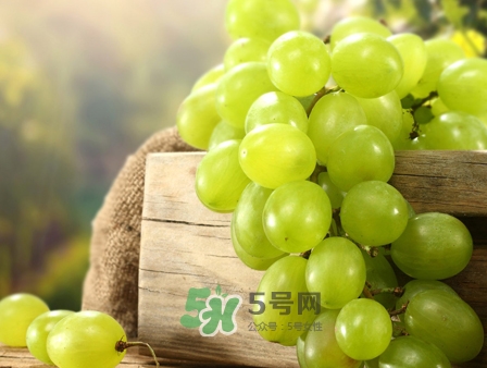 馬奶葡萄幾月成熟？吃馬奶葡萄有什么好處？