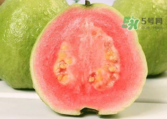紅芭樂怎么吃？芭樂是熱的還是涼的