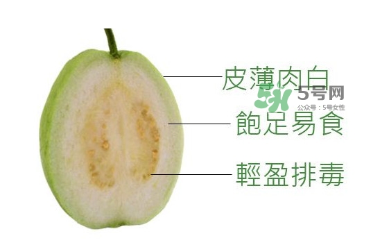 芭樂是什么季節(jié)的水果？芭樂什么時候吃最好
