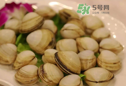 花蛤可以放冰箱冷凍嗎？花蛤放冰箱保鮮能吃嗎？