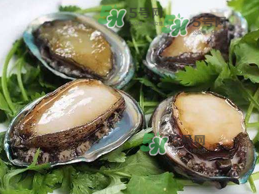 花蛤沒(méi)開(kāi)口能吃嗎？花蛤不張嘴是不是死了？