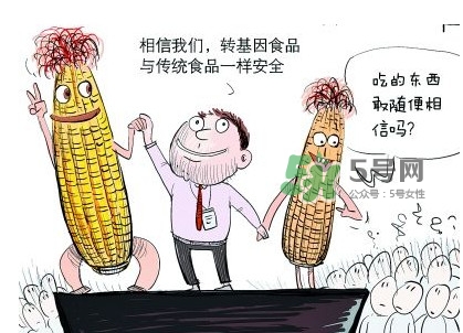 雜交水稻是不是轉(zhuǎn)基因？轉(zhuǎn)基因食品有哪些？