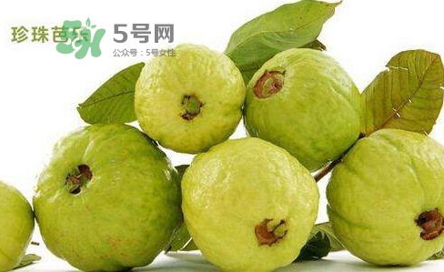 芭樂是什么季節(jié)的水果？芭樂什么時候吃最好