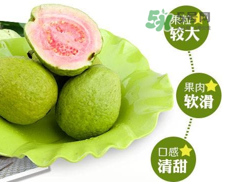 芭樂怎么挑選？如何挑選紅心芭樂
