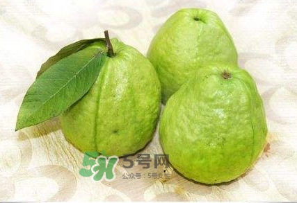 新鮮芭樂可以放幾天？芭樂能放多久