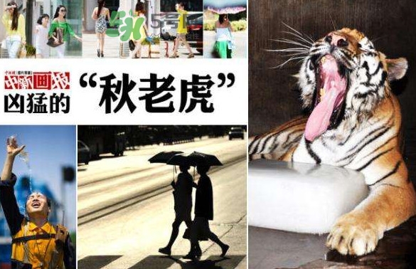 秋老虎有多熱？秋老虎一般是怎么算的？