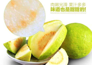 芭樂和番石榴有什么區(qū)別？芭樂和番石榴的區(qū)別