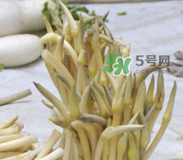 2017年藕帶什么時(shí)候下市？藕帶下市時(shí)間是幾月？