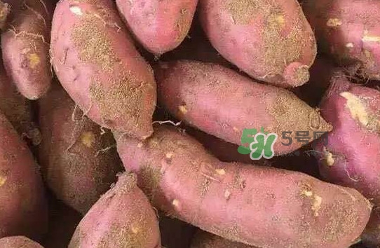 地瓜發(fā)芽了怎么種盆栽？拔絲地瓜怎么熬糖