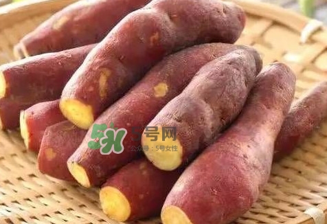 地瓜怎么做好吃？地瓜怎么吃好吃