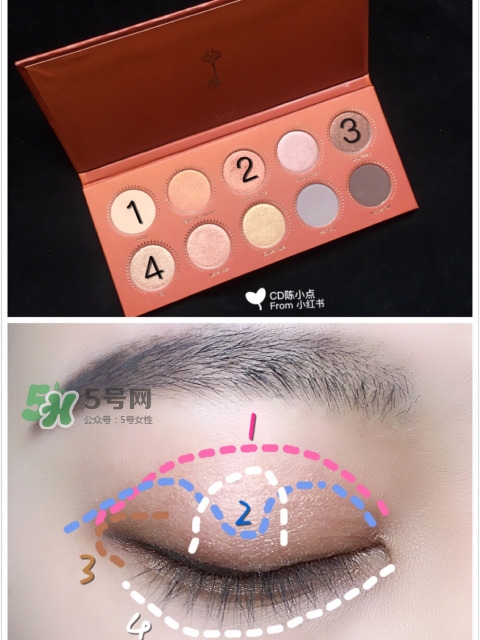 zoeva玫瑰金眼影盤怎么畫？zoeva rose golden畫法教程