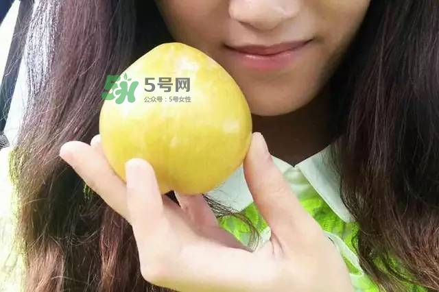 奈李是什么水果？奈李為什么會空心