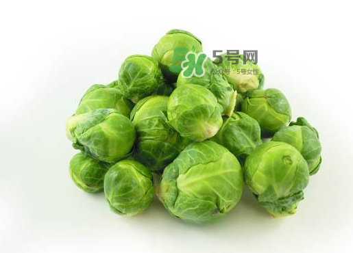 立秋可以種甘藍嗎？九月份能種甘藍嗎？