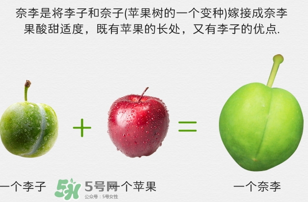 寶寶可以吃奈李嗎？寶寶多大可以吃奈李