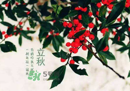立秋為什么在處暑前？為什么立秋早過(guò)處暑？