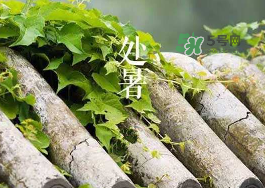 立秋為什么在處暑前？為什么立秋早過(guò)處暑？